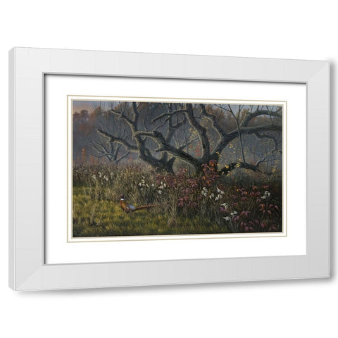 Old Orchard and Pheasant White Modern Wood Framed Art Print with Double Matting by Goebel, Wilhelm