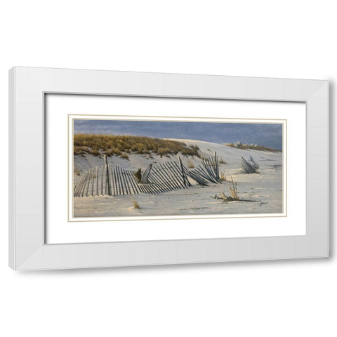 Passage - Peregrine Falcon White Modern Wood Framed Art Print with Double Matting by Goebel, Wilhelm