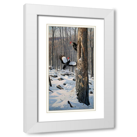 Swooping In - Pileated Woodpeckers White Modern Wood Framed Art Print with Double Matting by Goebel, Wilhelm