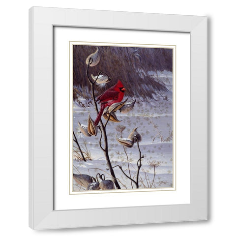 Cardinal And Milkweed White Modern Wood Framed Art Print with Double Matting by Goebel, Wilhelm