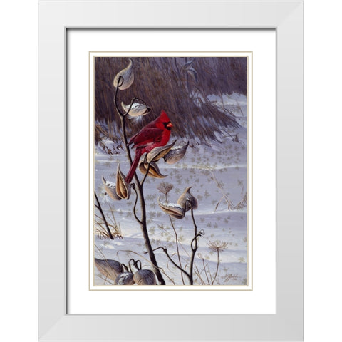Cardinal And Milkweed White Modern Wood Framed Art Print with Double Matting by Goebel, Wilhelm