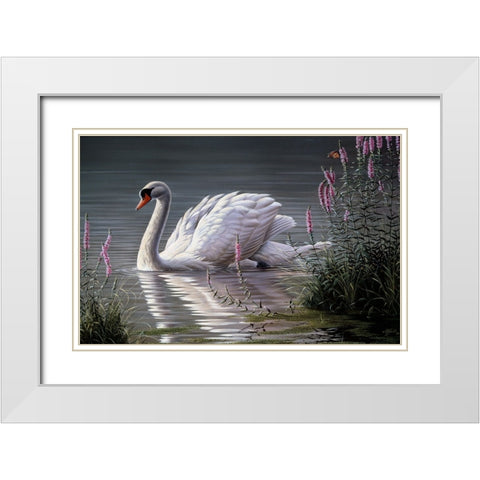 Summer Idyll - Mute Swan White Modern Wood Framed Art Print with Double Matting by Goebel, Wilhelm