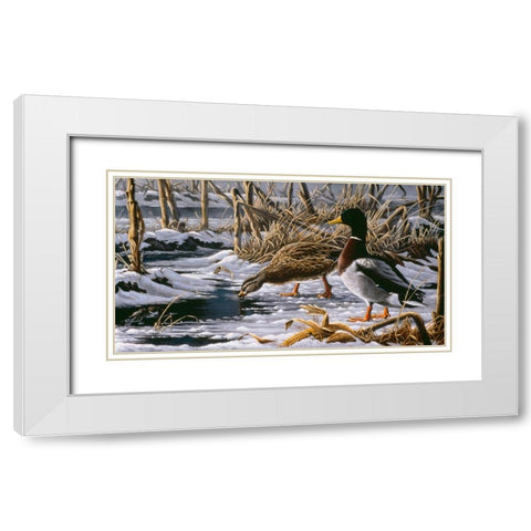 Spring Thaw - Mallards White Modern Wood Framed Art Print with Double Matting by Goebel, Wilhelm