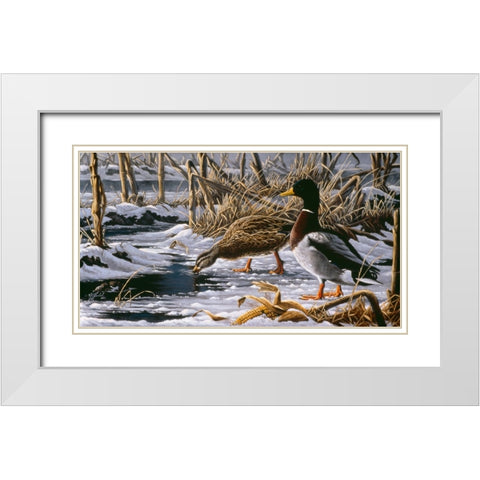 Spring Thaw - Mallards White Modern Wood Framed Art Print with Double Matting by Goebel, Wilhelm