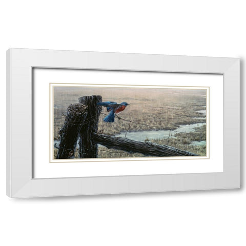 April Showers - Eastern Bluebird White Modern Wood Framed Art Print with Double Matting by Goebel, Wilhelm