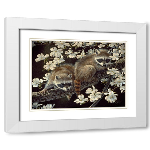 Dogwood Hideout - Young Raccoons White Modern Wood Framed Art Print with Double Matting by Goebel, Wilhelm