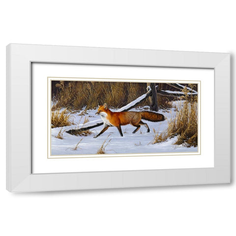 Fox Trot  - Red Fox White Modern Wood Framed Art Print with Double Matting by Goebel, Wilhelm
