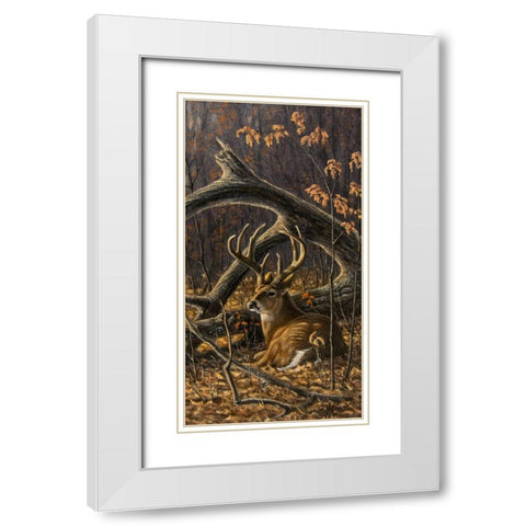 Bedded Buck White Modern Wood Framed Art Print with Double Matting by Goebel, Wilhelm