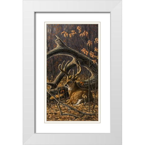 Bedded Buck White Modern Wood Framed Art Print with Double Matting by Goebel, Wilhelm
