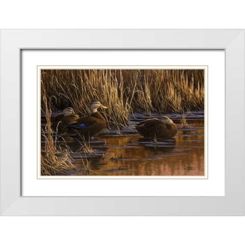 Belly Deep and Half Asleep White Modern Wood Framed Art Print with Double Matting by Goebel, Wilhelm