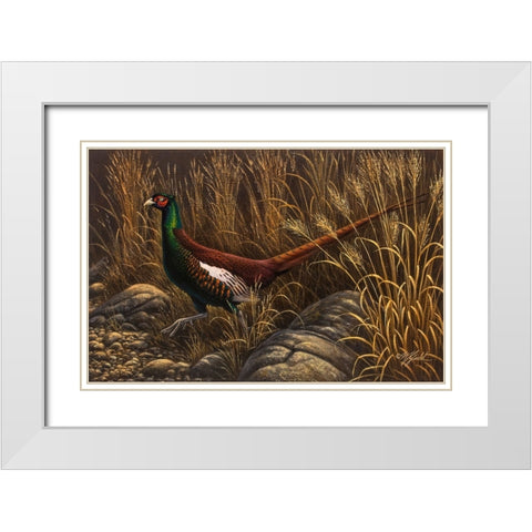 Bianchi Pheasant White Modern Wood Framed Art Print with Double Matting by Goebel, Wilhelm