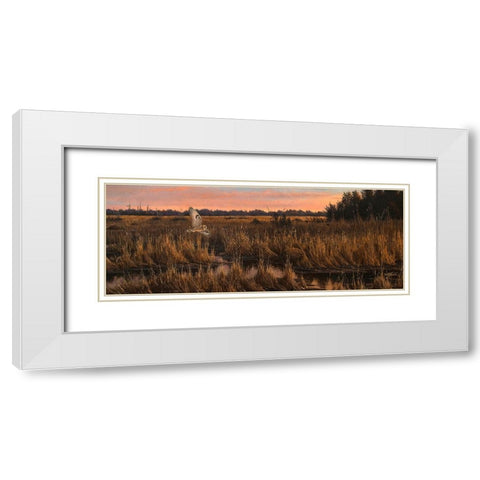 Evening Rounds White Modern Wood Framed Art Print with Double Matting by Goebel, Wilhelm