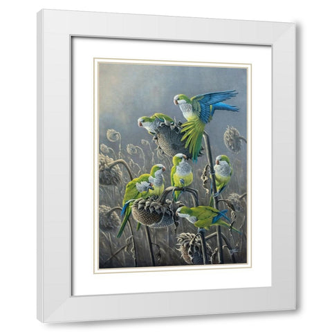 Parakeet Treat White Modern Wood Framed Art Print with Double Matting by Goebel, Wilhelm