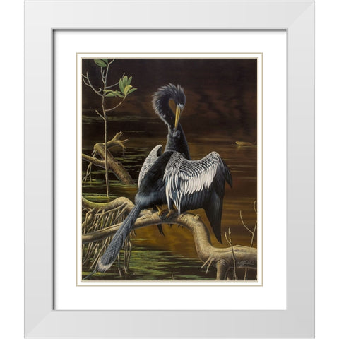Preening Anhinga White Modern Wood Framed Art Print with Double Matting by Goebel, Wilhelm