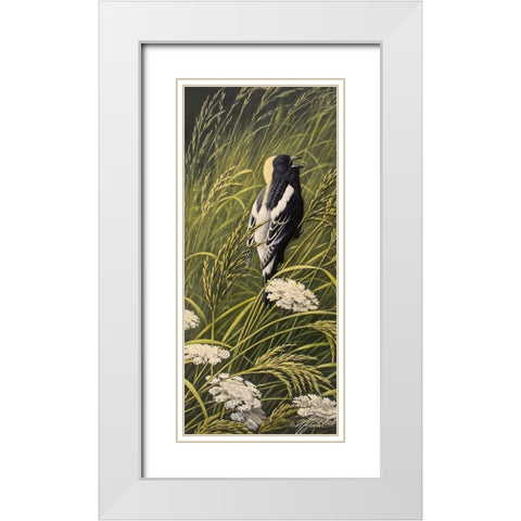 Summer Song - Bobolink White Modern Wood Framed Art Print with Double Matting by Goebel, Wilhelm