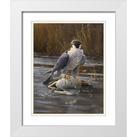 Teal Meal - Peregrine White Modern Wood Framed Art Print with Double Matting by Goebel, Wilhelm