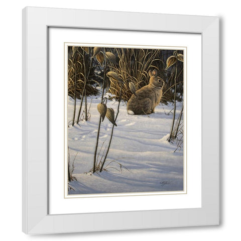 Winter Cottontail White Modern Wood Framed Art Print with Double Matting by Goebel, Wilhelm