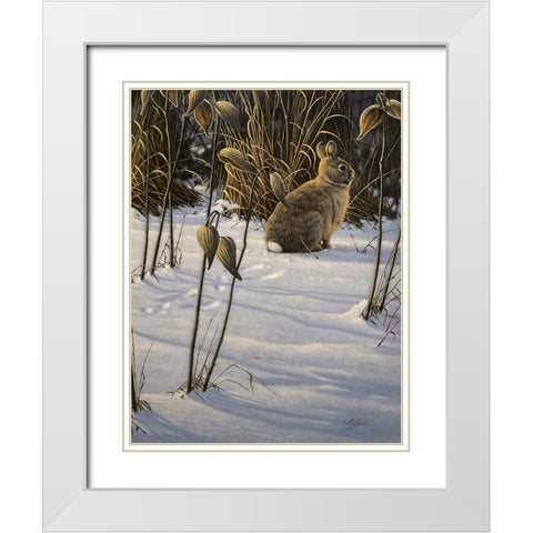 Winter Cottontail White Modern Wood Framed Art Print with Double Matting by Goebel, Wilhelm