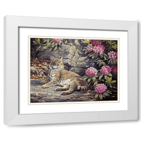 Bee Watching Bobcat White Modern Wood Framed Art Print with Double Matting by Goebel, Wilhelm