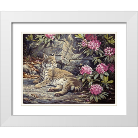 Bee Watching Bobcat White Modern Wood Framed Art Print with Double Matting by Goebel, Wilhelm