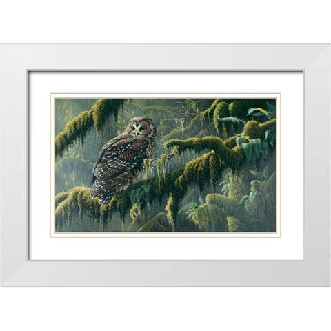 Spirit Of Ancient Forests - Spotted Owl White Modern Wood Framed Art Print with Double Matting by Goebel, Wilhelm