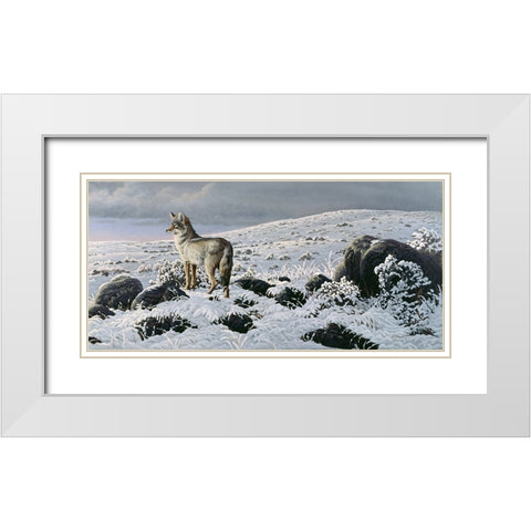 Open Country - Coyote White Modern Wood Framed Art Print with Double Matting by Goebel, Wilhelm