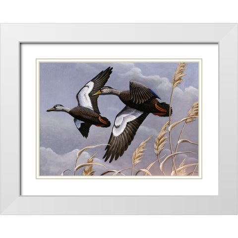 1982/1983 Black Ducks White Modern Wood Framed Art Print with Double Matting by Goebel, Wilhelm