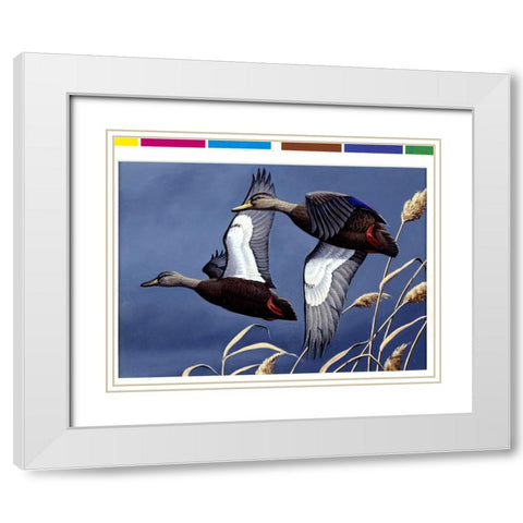1984 Black Ducks White Modern Wood Framed Art Print with Double Matting by Goebel, Wilhelm