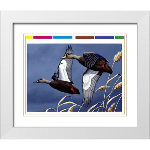 1984 Black Ducks White Modern Wood Framed Art Print with Double Matting by Goebel, Wilhelm