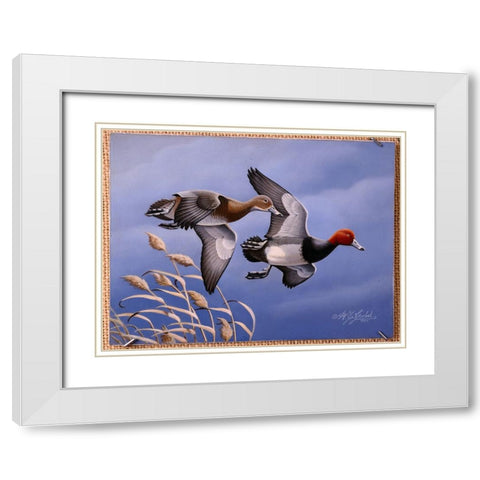 1986 Redhead Ducks White Modern Wood Framed Art Print with Double Matting by Goebel, Wilhelm