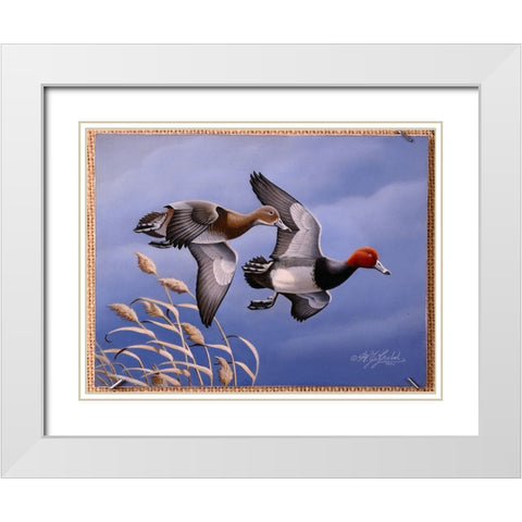 1986 Redhead Ducks White Modern Wood Framed Art Print with Double Matting by Goebel, Wilhelm