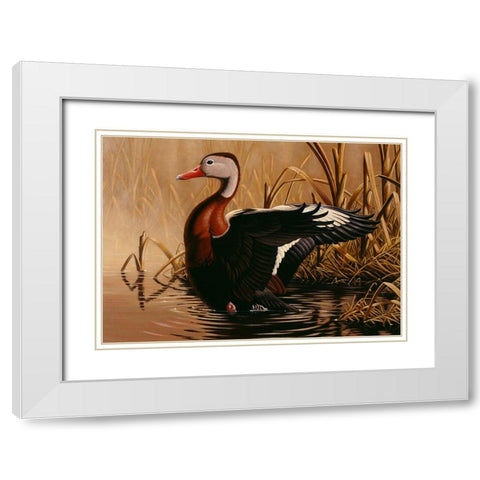 1988 Black Bellied Whistling Duck White Modern Wood Framed Art Print with Double Matting by Goebel, Wilhelm