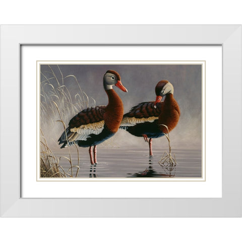 1989 Black Bellied Whistling Duck White Modern Wood Framed Art Print with Double Matting by Goebel, Wilhelm