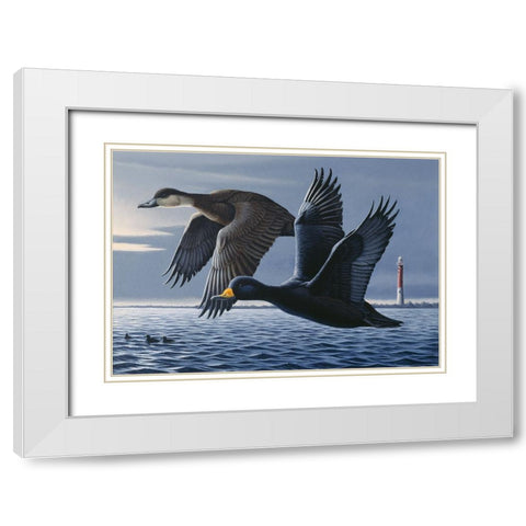 1990 Black Scoters White Modern Wood Framed Art Print with Double Matting by Goebel, Wilhelm
