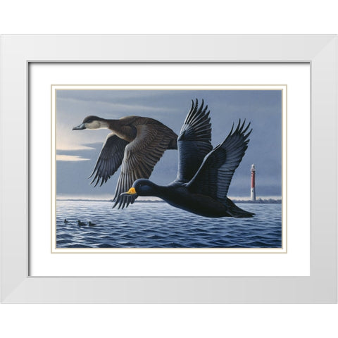 1990 Black Scoters White Modern Wood Framed Art Print with Double Matting by Goebel, Wilhelm