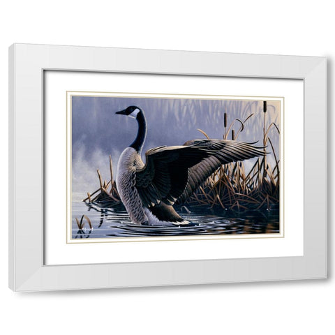 1992 Canada Goose White Modern Wood Framed Art Print with Double Matting by Goebel, Wilhelm