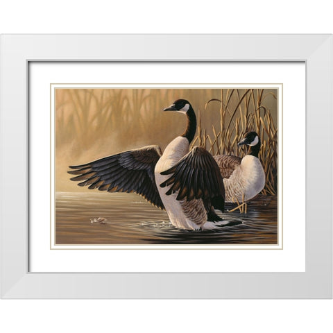 1994 Canada Geese White Modern Wood Framed Art Print with Double Matting by Goebel, Wilhelm