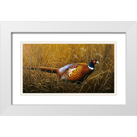 Sneaking Through The Long Grass - Ring Neck Pheasant White Modern Wood Framed Art Print with Double Matting by Goebel, Wilhelm