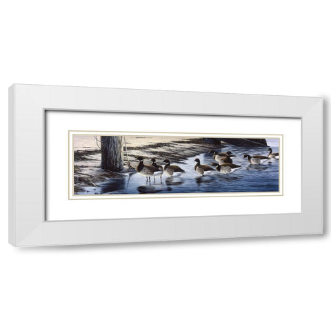 Brant Coming Ashore White Modern Wood Framed Art Print with Double Matting by Goebel, Wilhelm