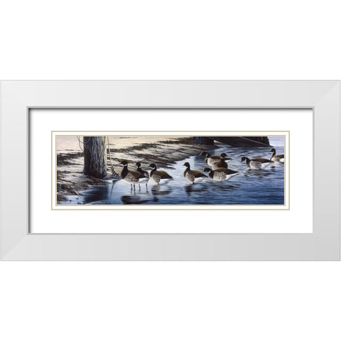 Brant Coming Ashore White Modern Wood Framed Art Print with Double Matting by Goebel, Wilhelm