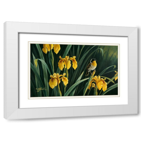 Yellow Flags And Yellowthroat White Modern Wood Framed Art Print with Double Matting by Goebel, Wilhelm