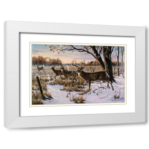 Cautious Crossing - Whitetails White Modern Wood Framed Art Print with Double Matting by Goebel, Wilhelm