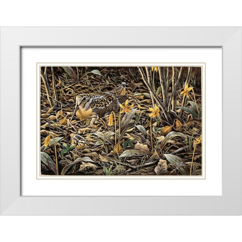 Early Brood - Woodcock Young White Modern Wood Framed Art Print with Double Matting by Goebel, Wilhelm