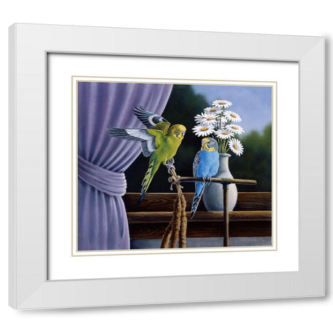 Parakeets White Modern Wood Framed Art Print with Double Matting by Goebel, Wilhelm