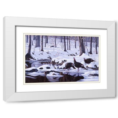 Hardwood Creek - Wild Turkeys White Modern Wood Framed Art Print with Double Matting by Goebel, Wilhelm