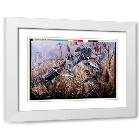 Corner Post Covey - Bobwhite White Modern Wood Framed Art Print with Double Matting by Goebel, Wilhelm