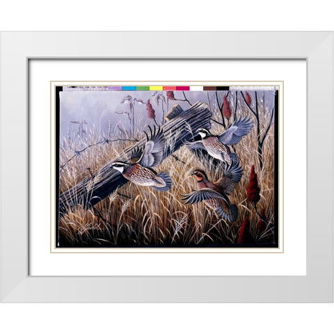 Corner Post Covey - Bobwhite White Modern Wood Framed Art Print with Double Matting by Goebel, Wilhelm