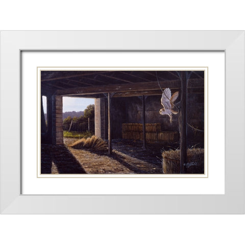On Silent Wings - Barn Owl White Modern Wood Framed Art Print with Double Matting by Goebel, Wilhelm