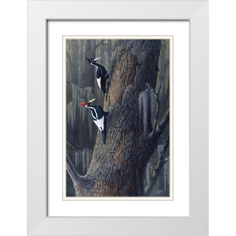 Legends Of The Pearl White Modern Wood Framed Art Print with Double Matting by Goebel, Wilhelm
