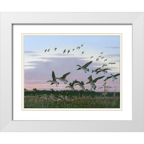 Wings Over Delmarva White Modern Wood Framed Art Print with Double Matting by Goebel, Wilhelm